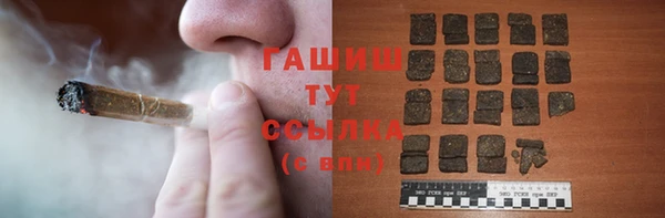 шишки Надым