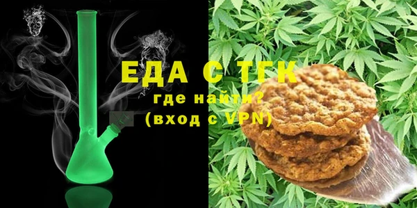 шишки Надым