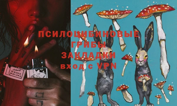 Альфа ПВП Нея