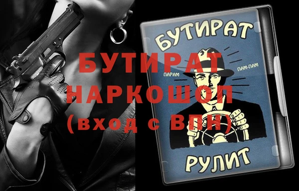 шишки Надым