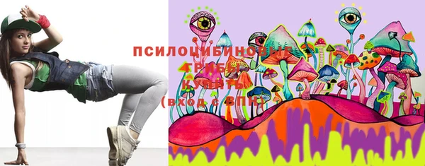шишки Надым