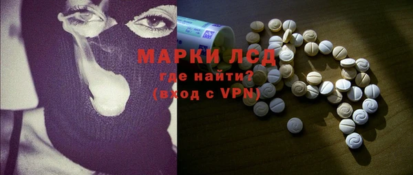 шишки Надым