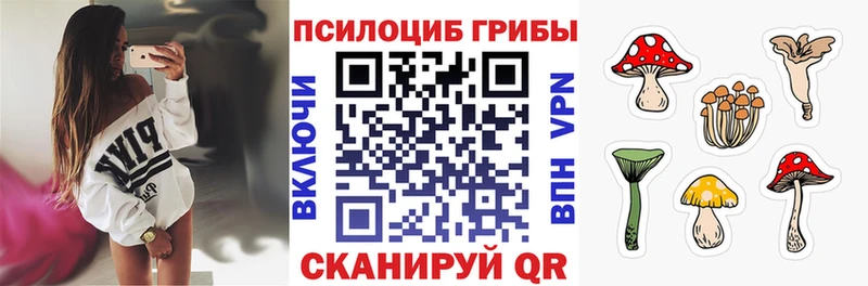 Псилоцибиновые грибы мухоморы  цены наркотик  Кизел 