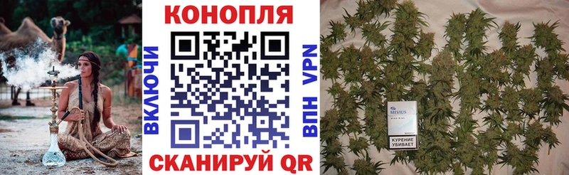 Конопля VHQ  Кизел 